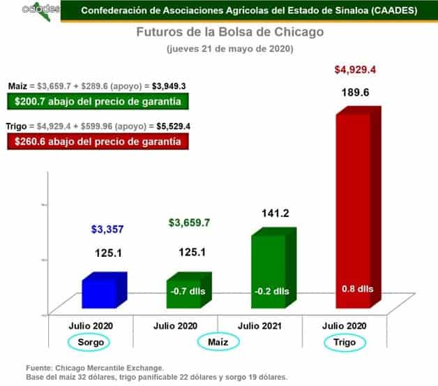 Imagen Placeholder