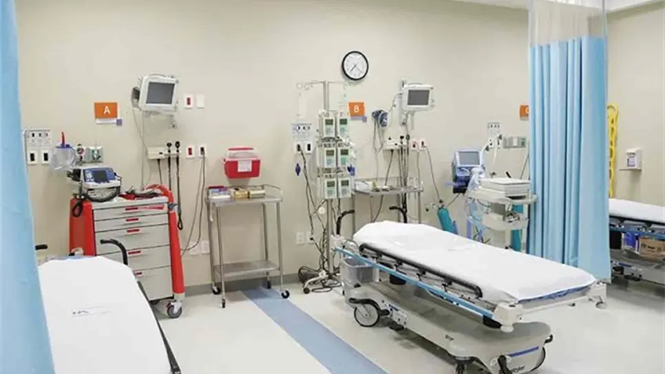 FOTO: Temática