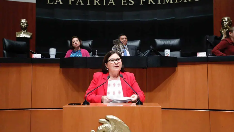 Altos cobros de luz por incremento en consumo de energía: Senadora