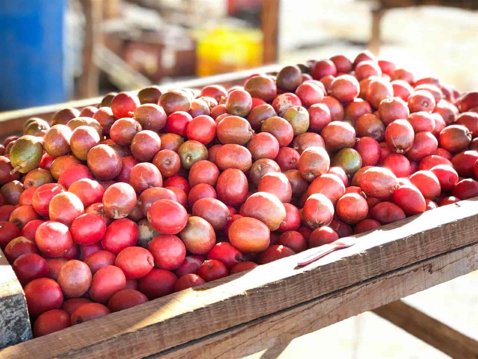 FOTO: Luz Noticias | Archivo.