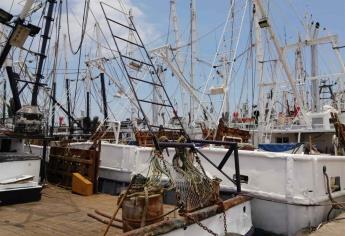 Beneficiarán a mil personas con empleo temporal en Mazatlán