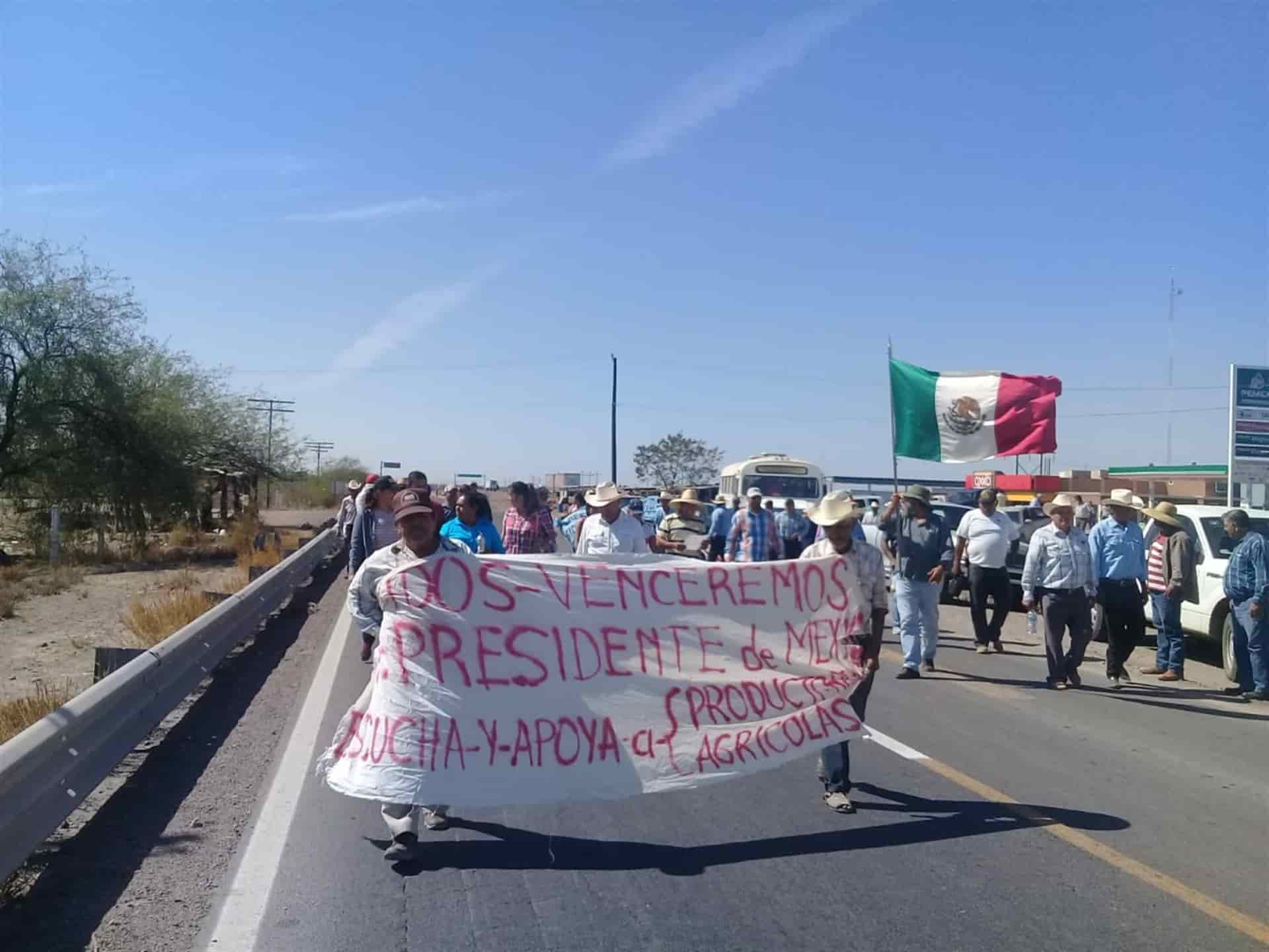 Segalmex no acepta pagar más por maíz: Caades