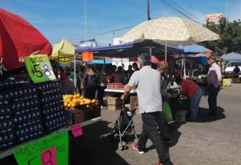 Para que Tianguis Dominical se instale de nuevo, se debe aprobar un estricto protocolo: SSA