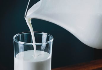 Profeco revela la verdad detrás de la llamada «leche de almendras», ¿realmente existe?