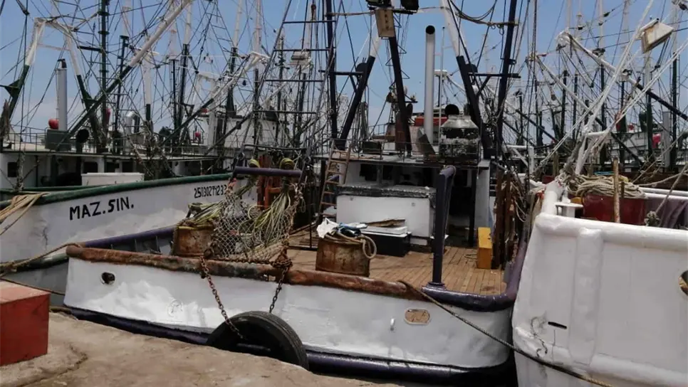 Inicia en el sur de Sinaloa la entrega del Bienpesca