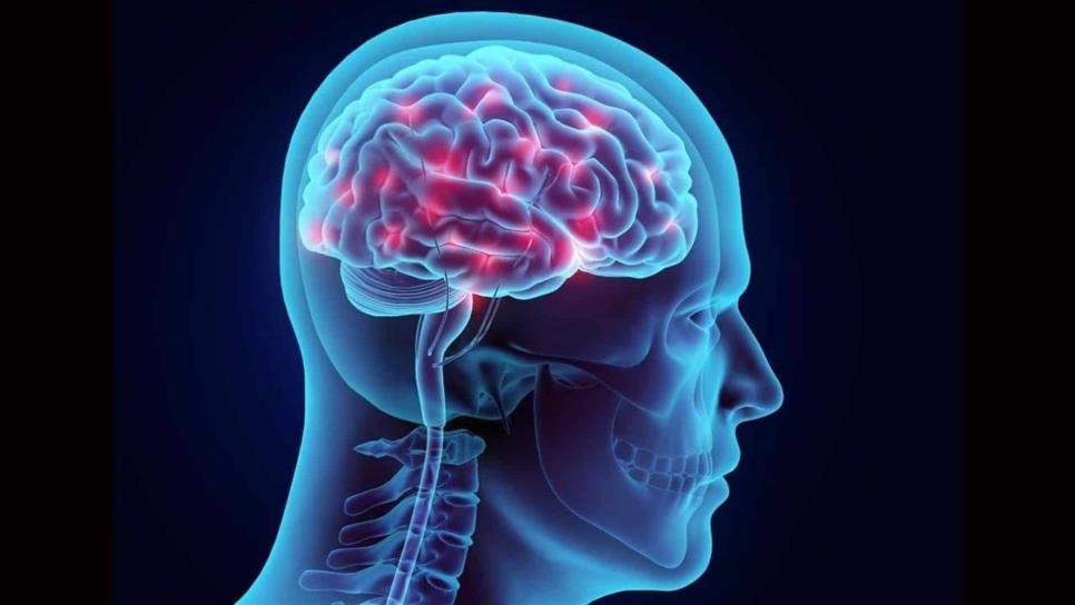 Estudio revela daños a largo plazo causados por lesiones cerebrales