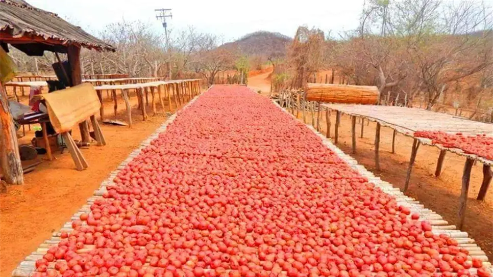 FOTO: Cortesía.