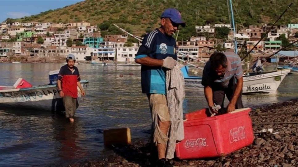 Pescadores denuncian que cooperativas les “cobra” cuota para recibir recursos del Bienpesca