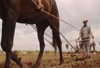 Piden a secretarios de Agricultura y Pesca de Sinaloa a esclarecer funcionamiento del FOFAE