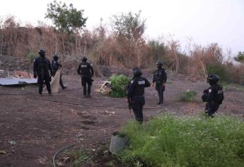 Policía Estatal asegura plantío de mariguana al norte de Culiacán