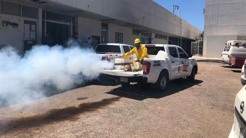 Fumigarán contra los moscos en tres colonias de Los Mochis este viernes