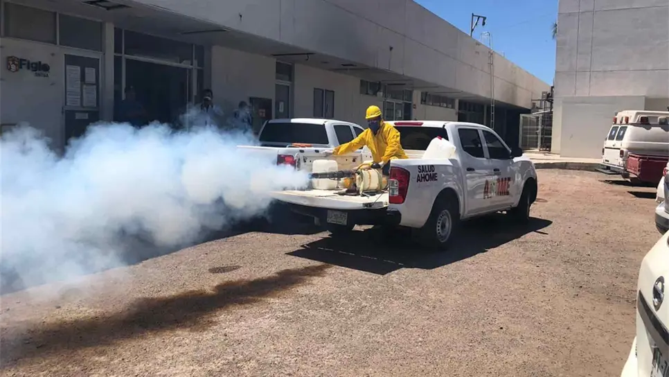Fumigarán contra los moscos en tres colonias de Los Mochis este viernes