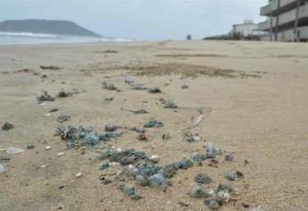 Quemadores inundan playas de Mazatlán