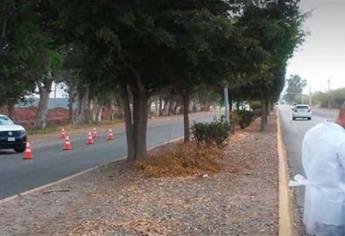 Ahomenses no deben bajar la guardia, el semáforo sigue en rojo: Salud