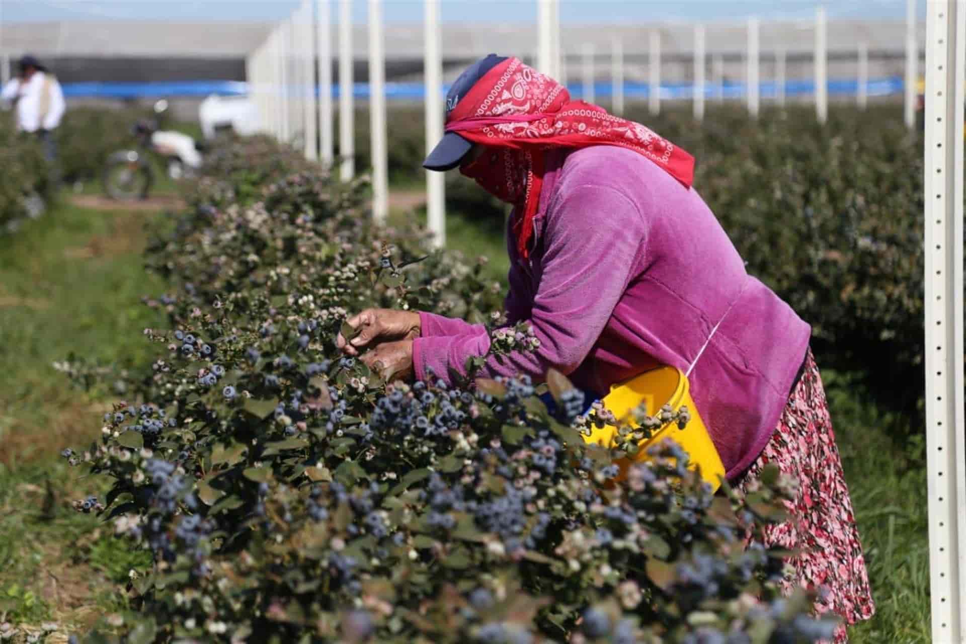 FOTO: Gobierno de Sinaloa.
