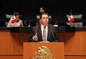 Que se apoye a trabajadoras domésticas con créditos: Mario Zamora