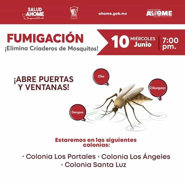 Imagen Placeholder