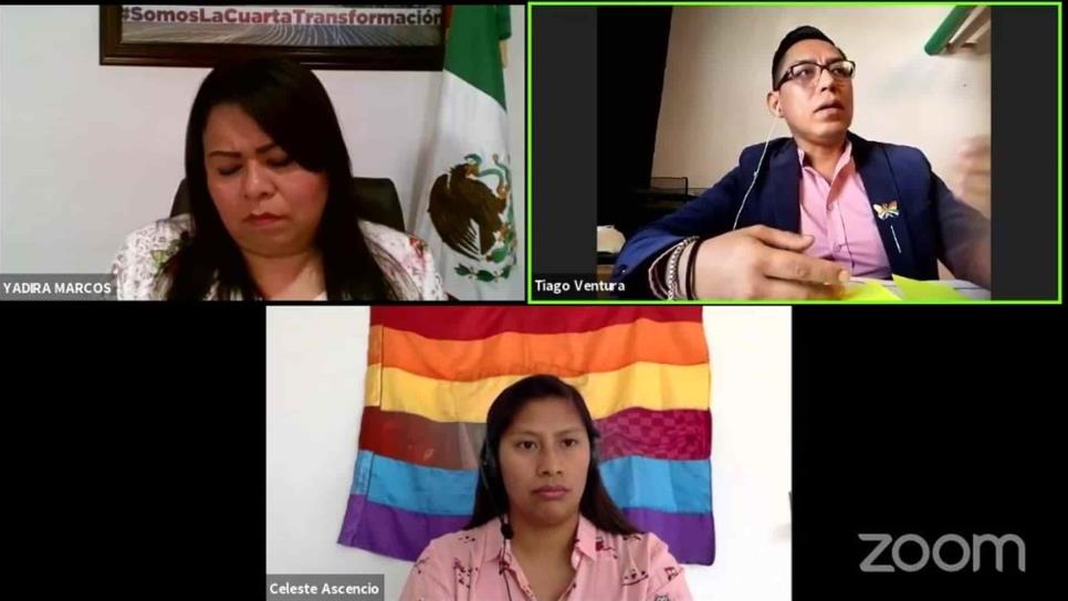 Realizan reunión virtual “Desafíos Legislativos de la población LGBT + en México” Realizan reunión virtual “Desafíos Legislativos de la población LGBT + en México”