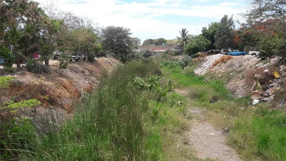 FOTO: Ana Lidia Avilés.