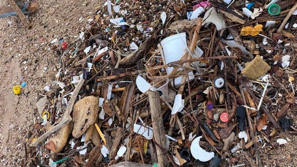 Retiran 150 kilos de basura de la playa, en Olas Altas