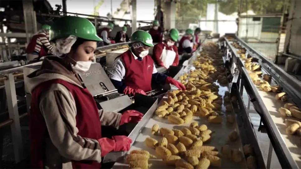 FOTO: Luz Noticias | Archivo.