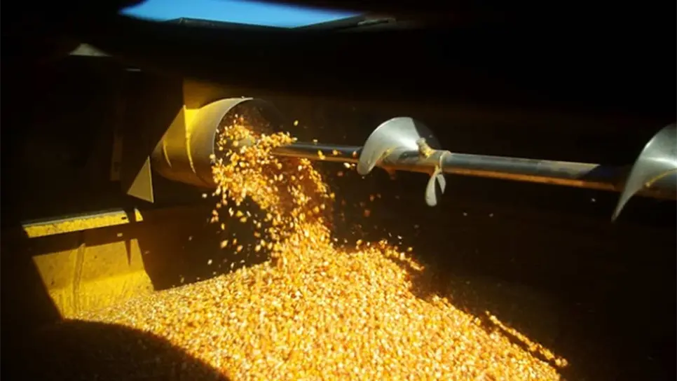 FOTO: Luz Noticias | Archivo.