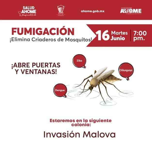 Imagen Placeholder