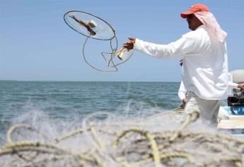 Pesca de jaiba reactiva a campos pesqueros