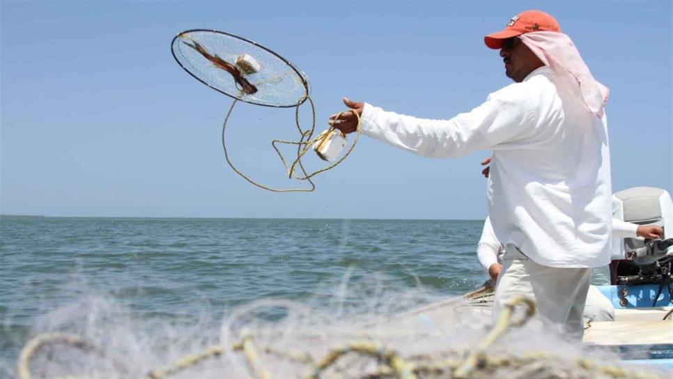 Pesca de jaiba reactiva a campos pesqueros