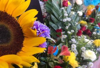 Floristas de Culiacán tienen más de 3 meses sin vender una sola flor