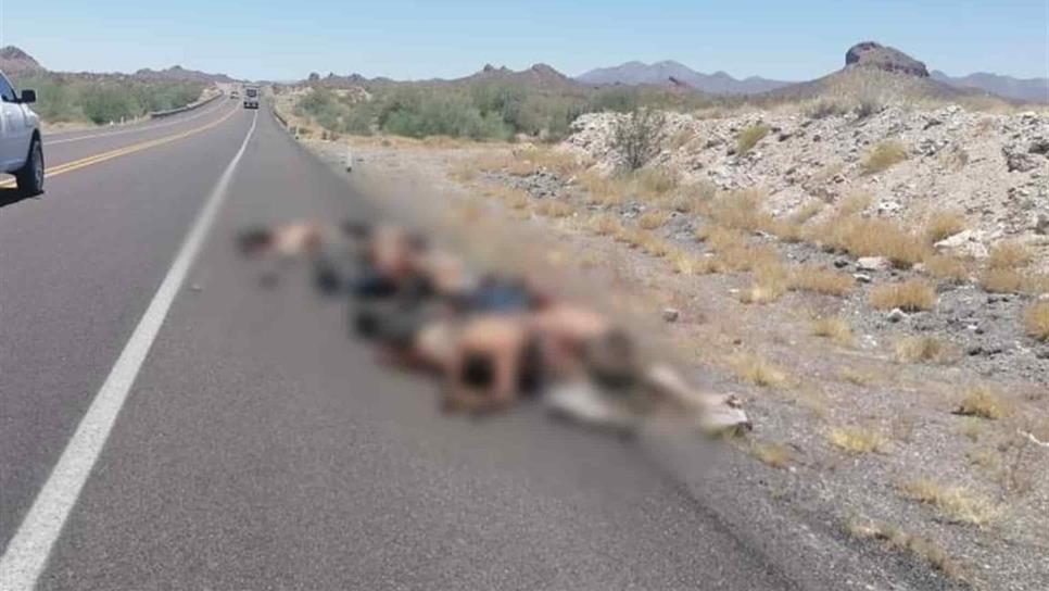 Difunden imágenes de cadáveres tirados en la carretera de Caborca