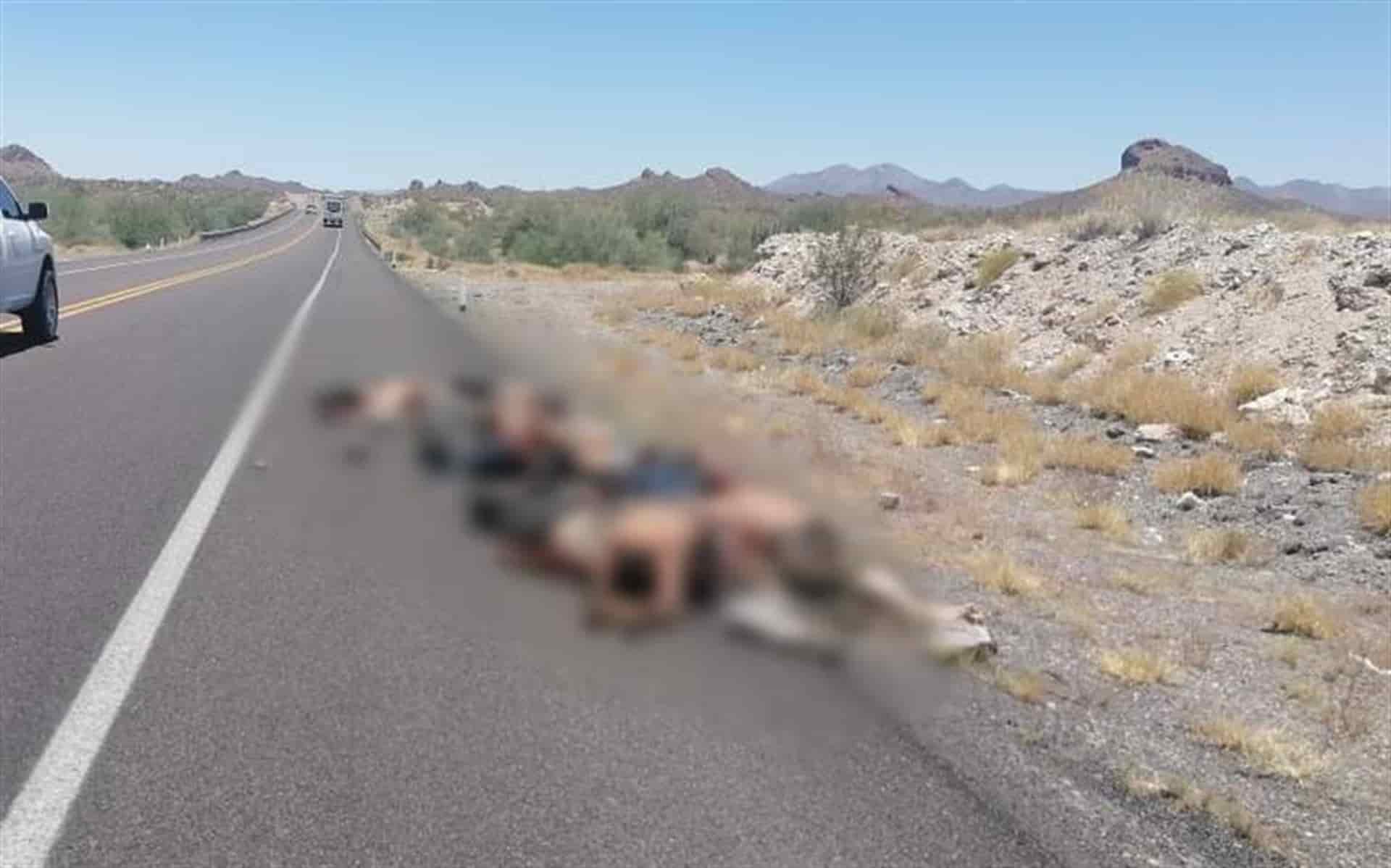 FOTO: Cortesía | El Informante.