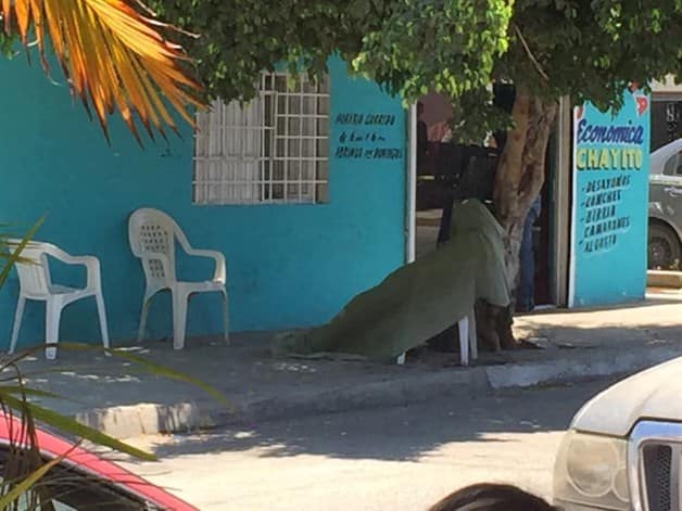 Imagen Placeholder