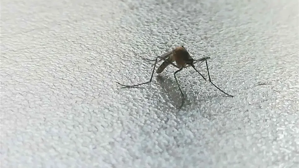 FOTO: Iván Rodríguez