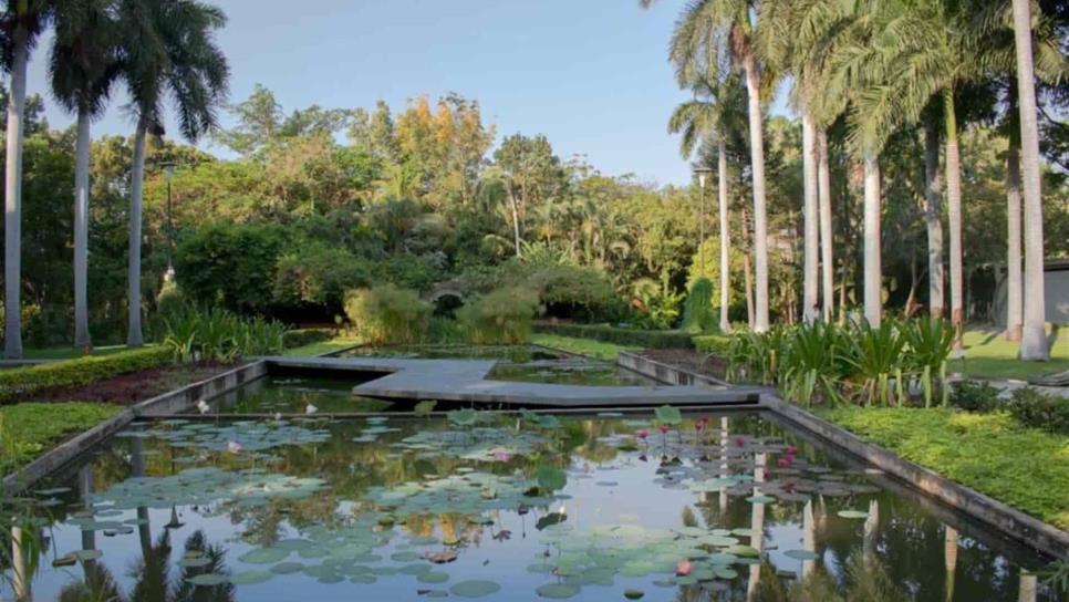 Invitan a vivir el Jardín Botánico de Culiacán desde casa
