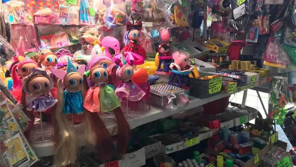 FOTO: Brianda López.