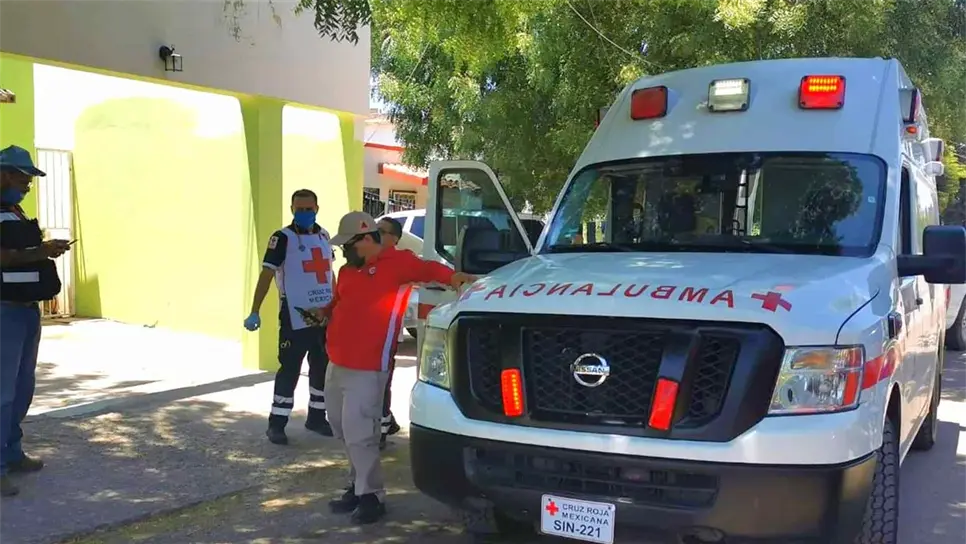 FOTO: Luz Noticias | Temática.