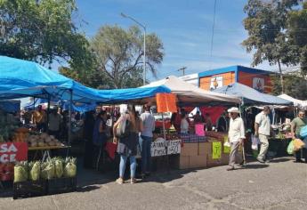 Abrirán tianguis dominical de Los Mochis a partir del domingo 16 de agosto