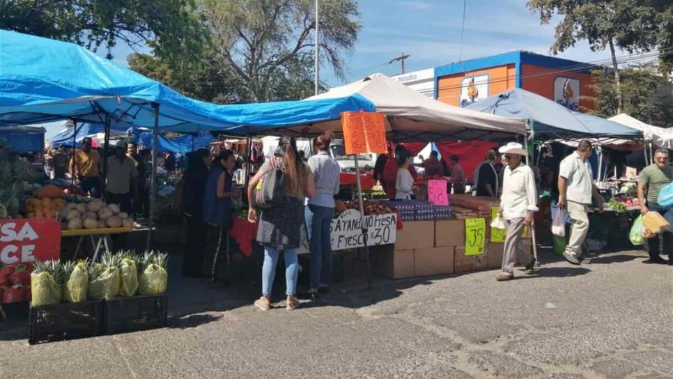 Tianguis del PRI, aún sin autorización para reiniciar actividades: Dulce Ruiz