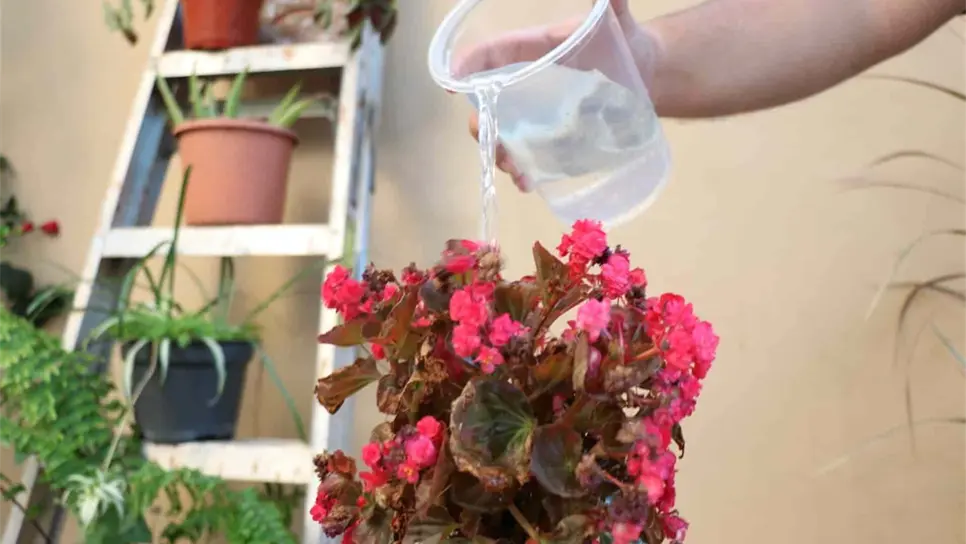 Incrementa 30% el consumo de agua en Mazatlán