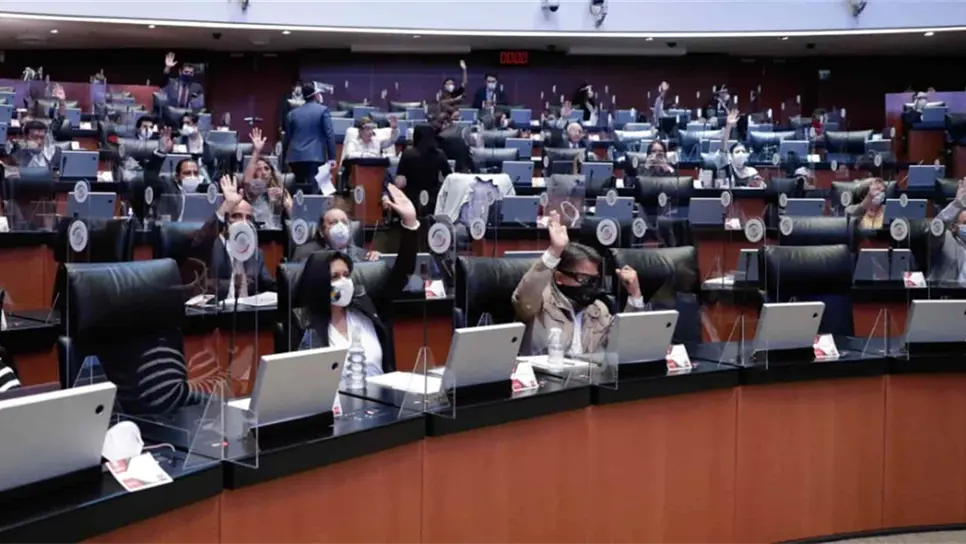 FOTO: Senado de la República.