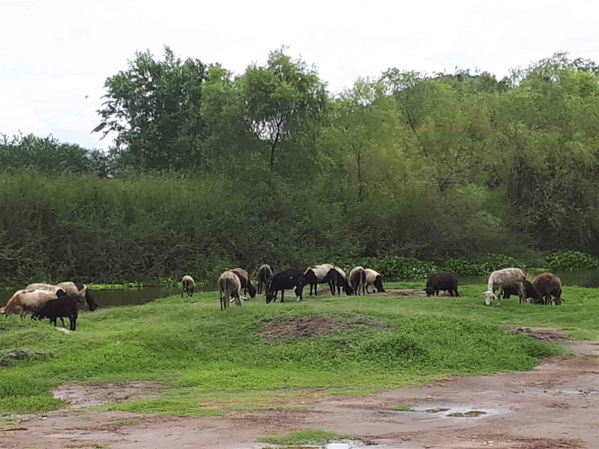 FOTO: Archivo Luz Noticias.