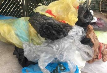 Bolsas y popotes de plástico, prohibidos a partir del 20 de julio