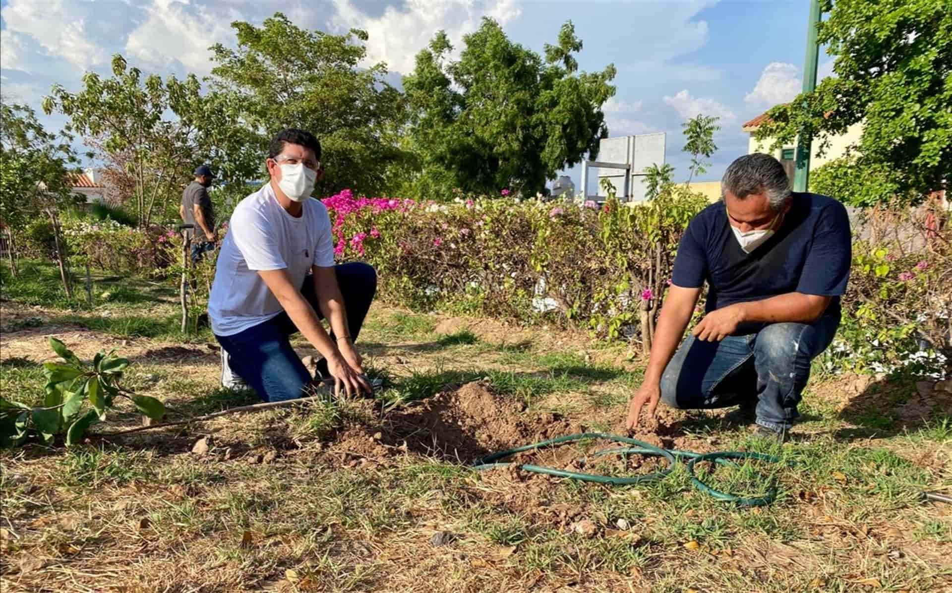 Apoya Sedesu arborización del parque Diamante en Villas del Humaya