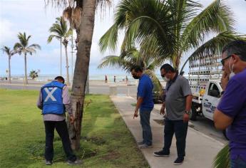 Clausuran drenaje clandestino en nueva torre de condominios de Mazatlán