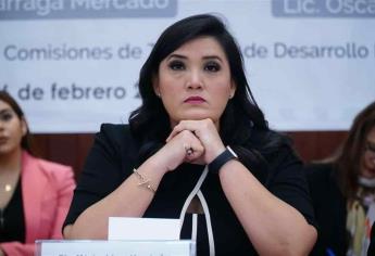 El T-MEC impulsará la reactivación económica a nivel local: diputada