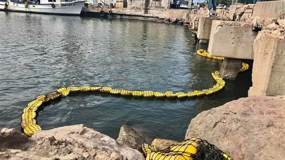 FOTO: Ecología y Medio Ambiente Mazatlán (vía Facebook).