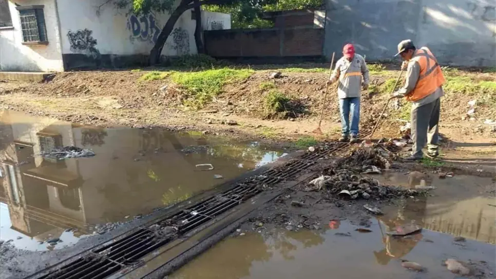 FOTO: Temática.