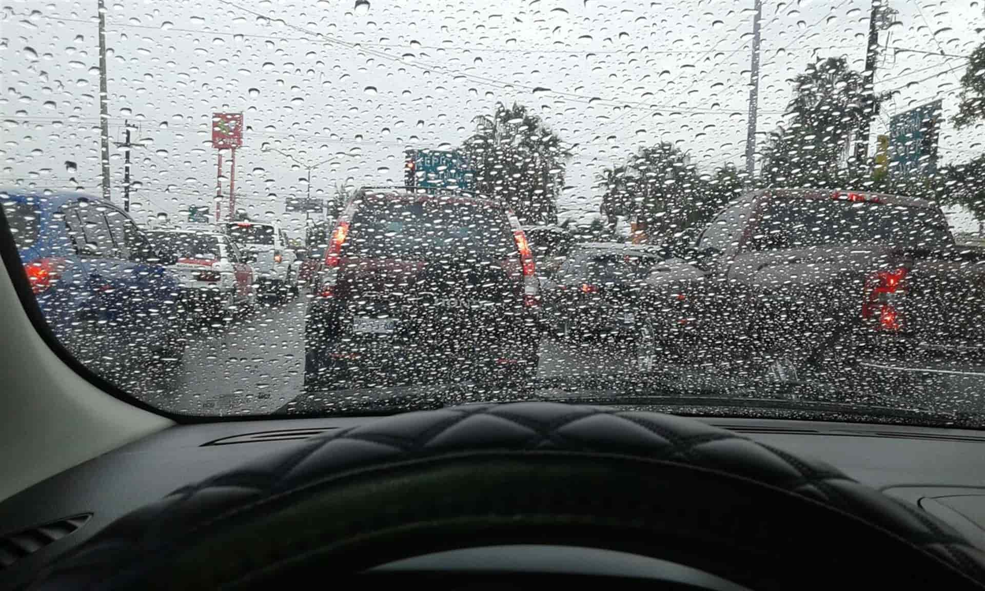 FOTO: Temática