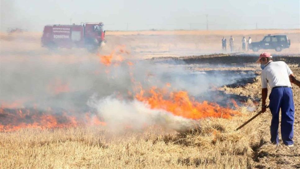 Tramitan sanciones por 8 casos de quema de soca en Guasave